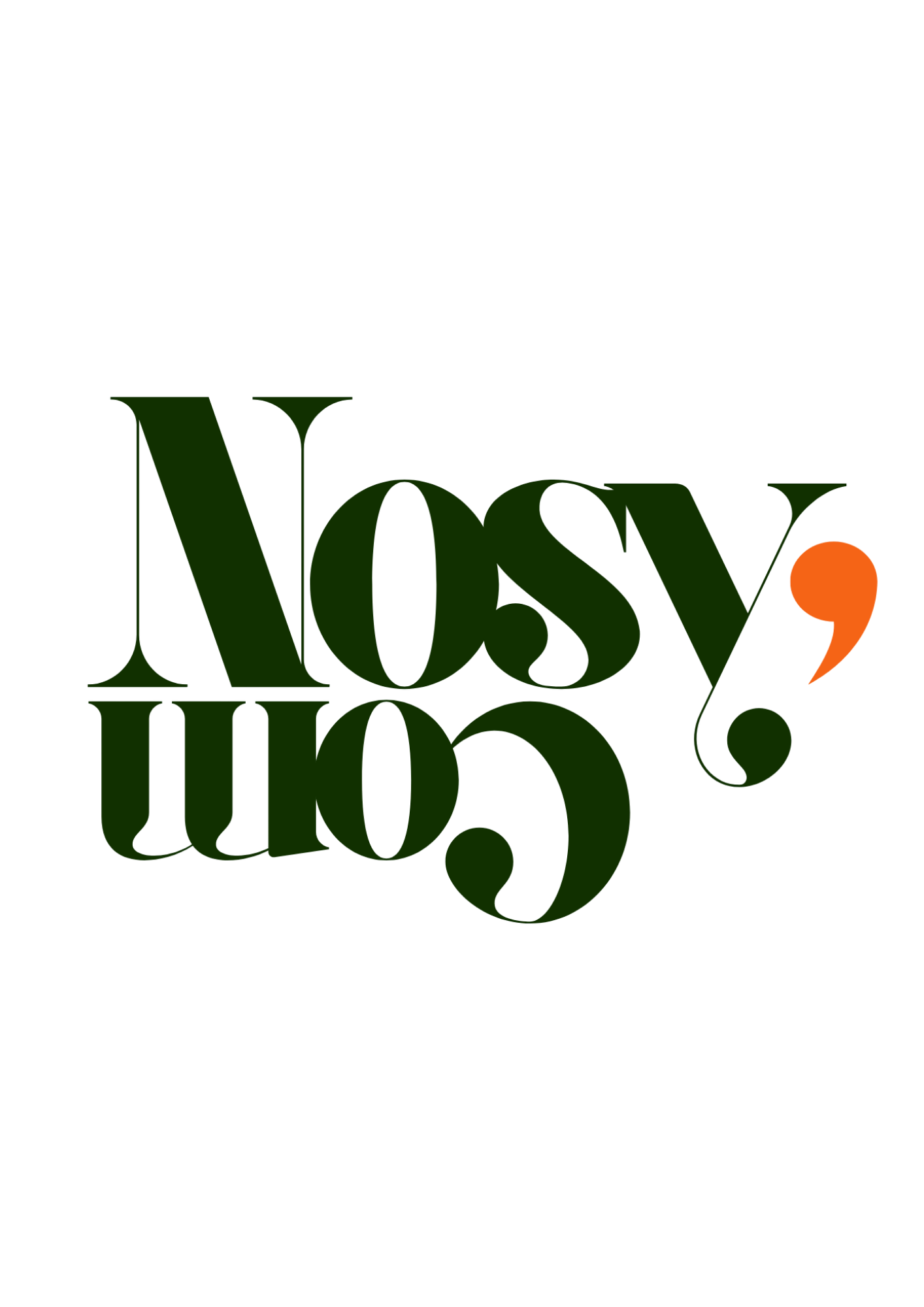 Nosy'com